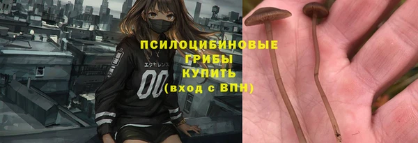 ПСИЛОЦИБИНОВЫЕ ГРИБЫ Армянск