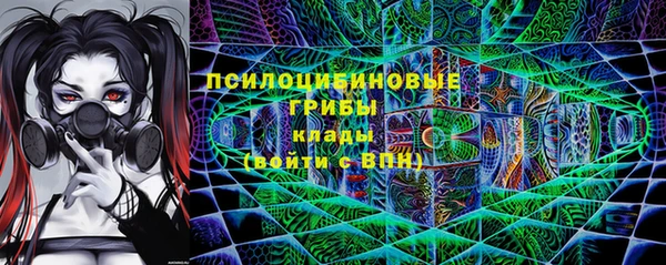 ПСИЛОЦИБИНОВЫЕ ГРИБЫ Армянск