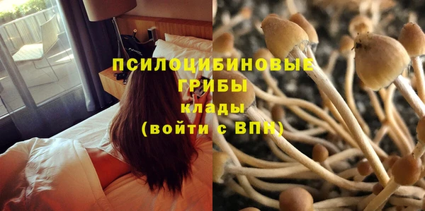 MDMA Premium VHQ Арсеньев
