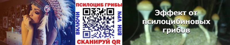 Галлюциногенные грибы MAGIC MUSHROOMS Балашов