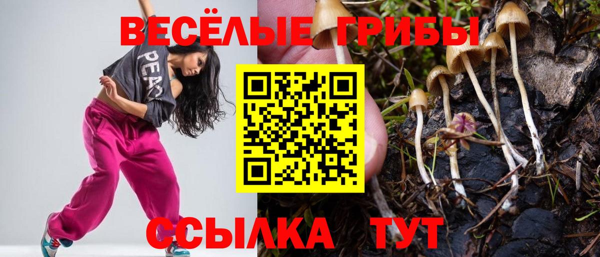 Псилоцибиновые грибы Magic Shrooms Балашов