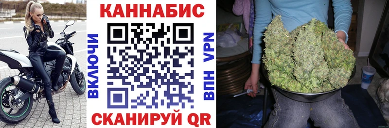Марихуана сатива  Балашов 
